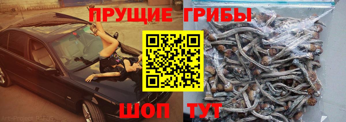 Галлюциногенные грибы Cubensis  наркотики  Искитим  Вход с VPN  Псилоцибиновые грибы мицелий 